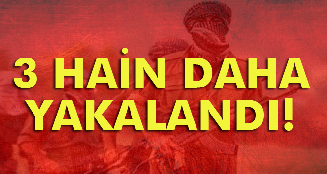 Bingöl’de eylem hazırlığındaki 3 terörist yakalandı