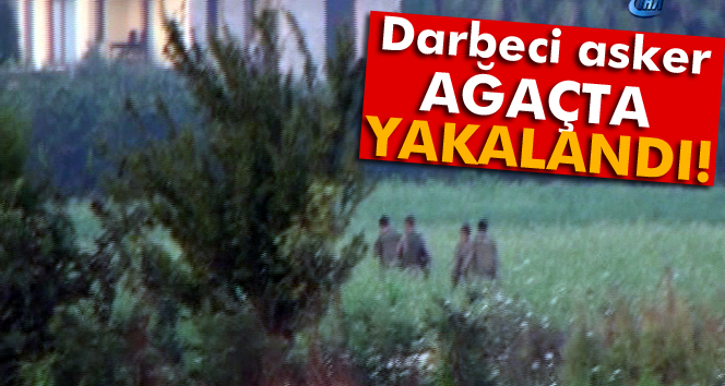 Darbecilerden 1’i ağaçta diğeri ise mısırların arasında yakalandı