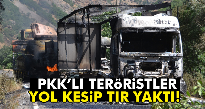 PKK, Çat-Karlıova yolunda 3 TIR’ı ateşe verdi