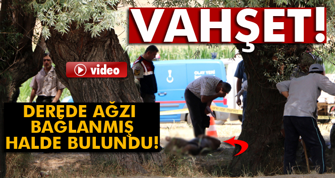 Derede ağzı poşetle bağlanmış ceset bulundu