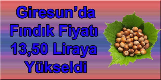  Giresun’da Fındık Fiyatı 13,50 Liraya Yükseldi