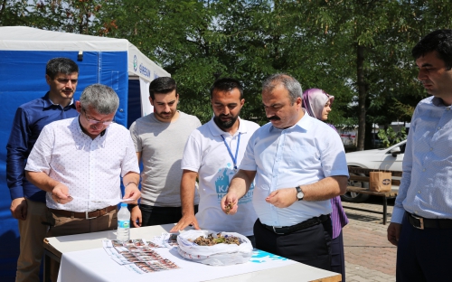  Rektör Prof. Dr. COŞKUN Kurulan Stantları Gezdi