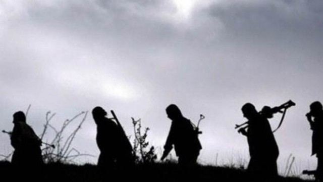 PKK Dereli' de Yol Kontrolü mü yaptı? 