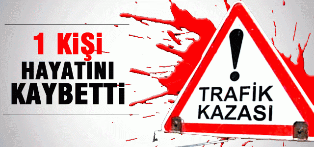 Feci kazada can verdi