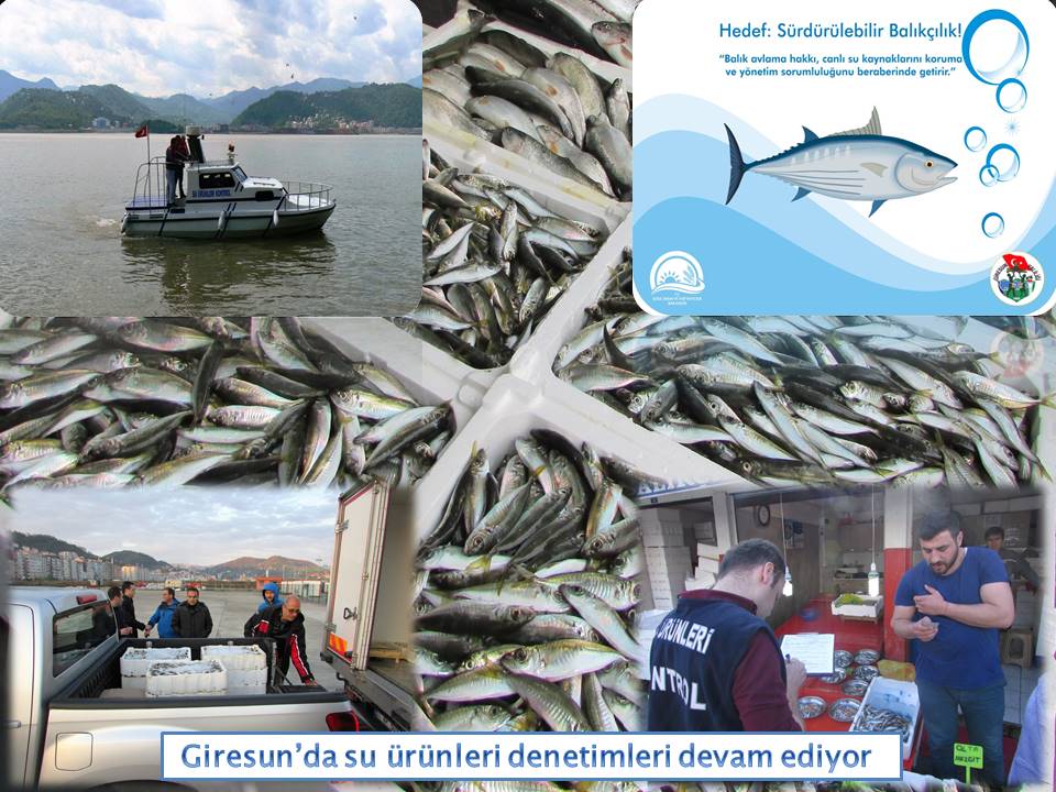 Giresun'da Su Ürünleri Denetimleri Devam Ediyor…