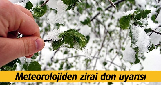 Kar Yağışı ve Zirai Don Uyarısı!