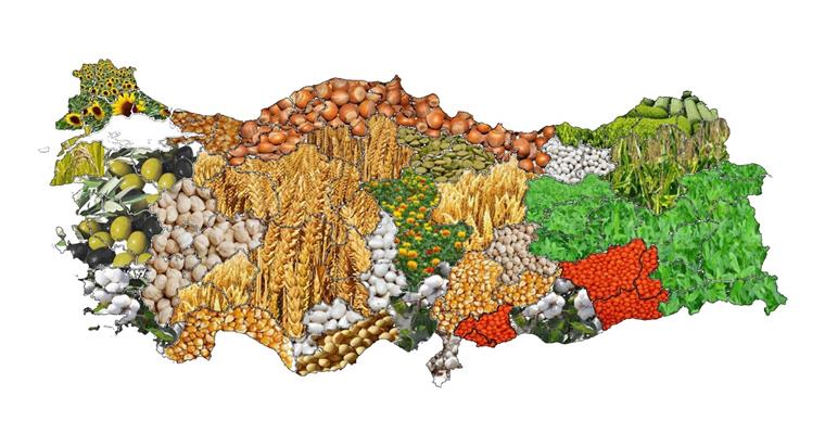Tarım Havzalarının Ürün Listesi Yayınlandı