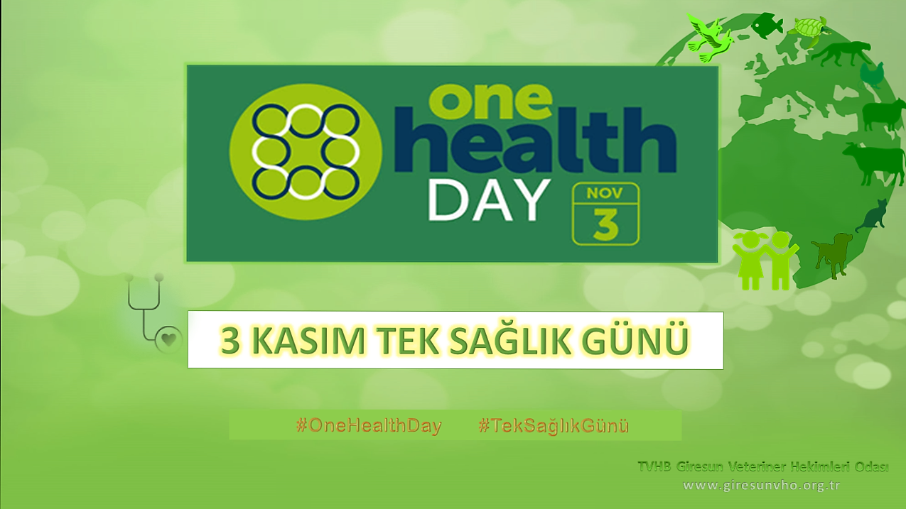 3 Kasım Tek Sağlık Günü