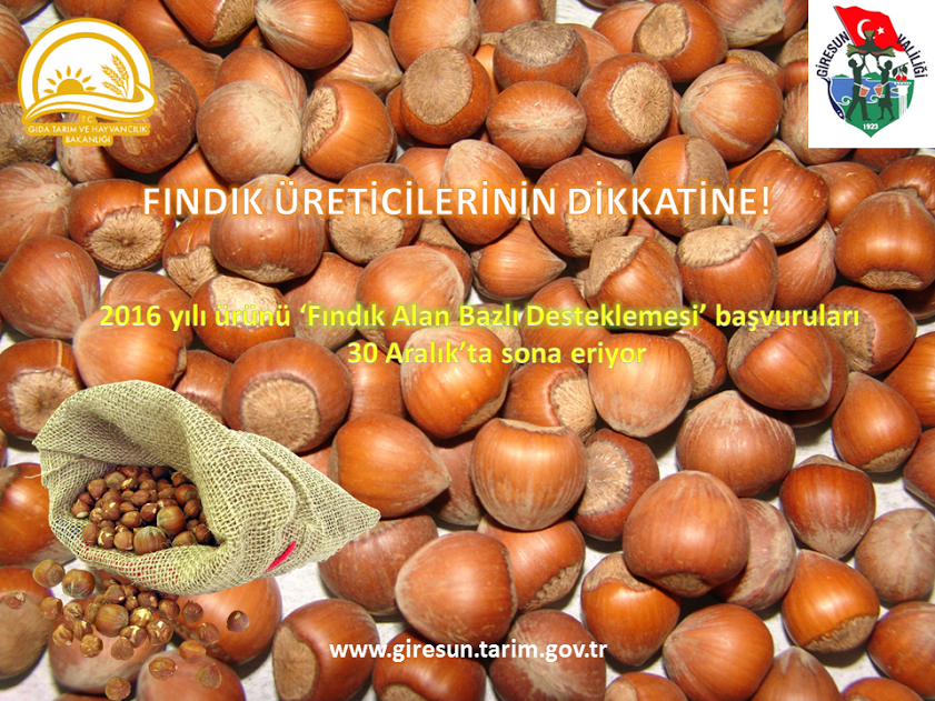 Fındık Üreticilerinin Dikkatine!  