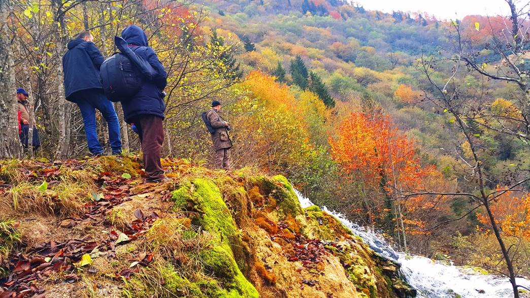 "Kuzalan Tabiat Parkında Güz” Konulu Fotomaraton Yapıldı 