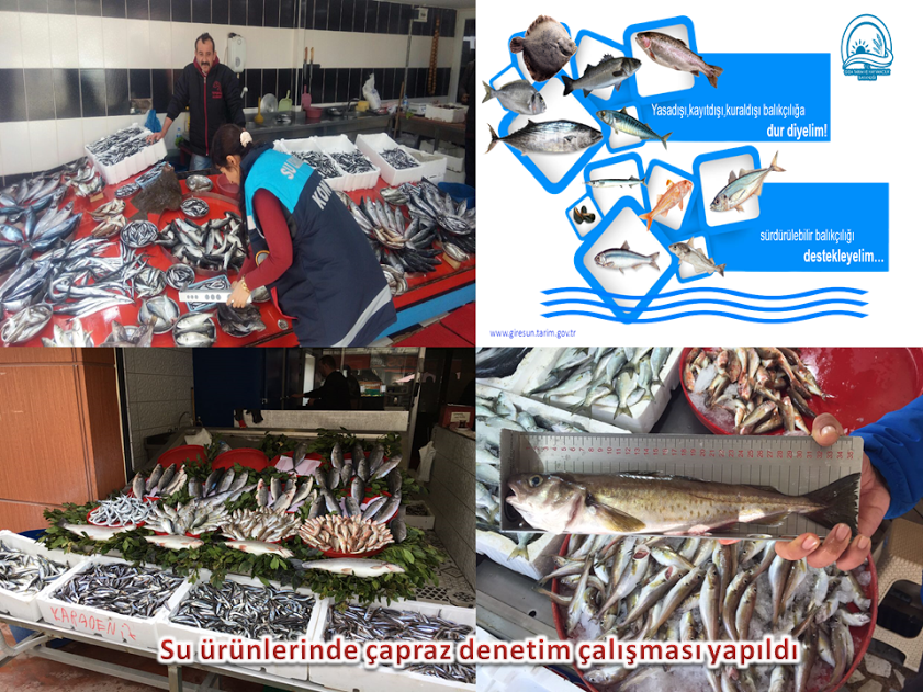 Su ürünlerinde çapraz denetim çalışması yapıldı