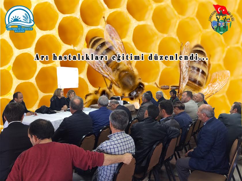 Arıcılara, Arı Hastalıkları Konusunda Eğitim Verildi