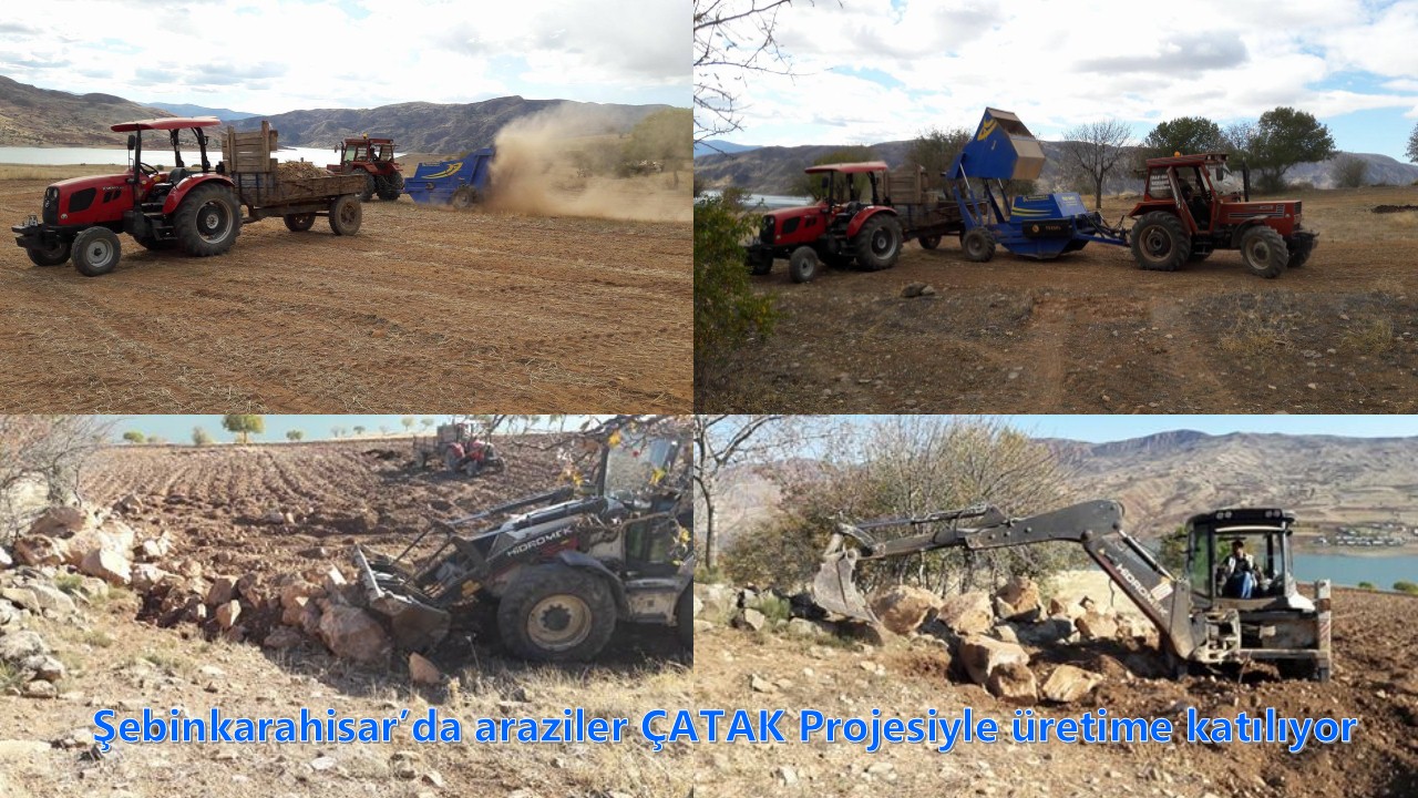 Şebinkarahisar’da Araziler ÇATAK Projesiyle Üretime Katılıyor