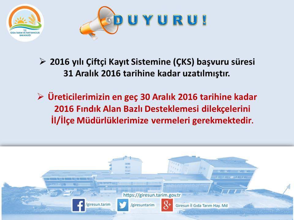 Fındık Alan Bazlı Destek Başvuruları Yıl  Sonunda Bitiyor
