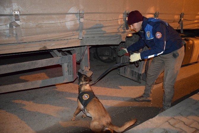 Giresun'da 600 Polis ile 'Huzur' Uygulaması