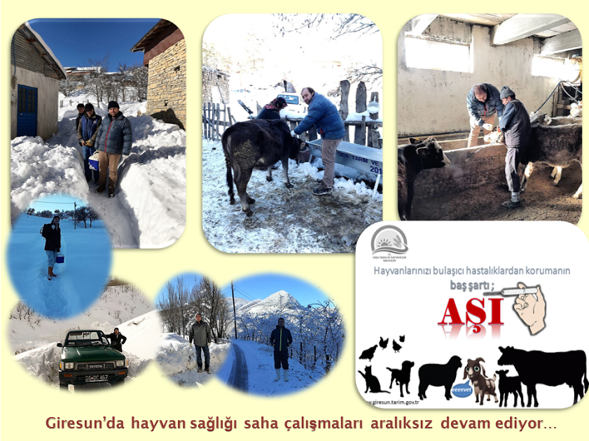 Hayvan Sağlığı Saha Çalışmaları Aralıksız Devam Ediyor