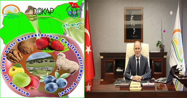 Giresun İli Kırsal Gelir Kaynaklarının Çeşitlendirilmesi
