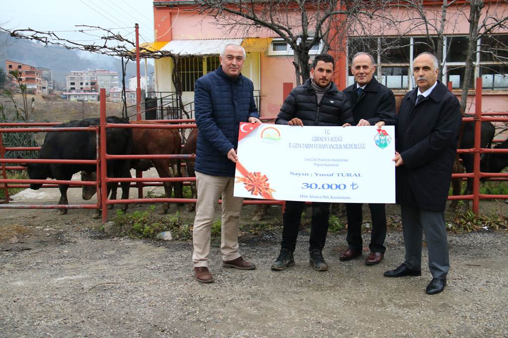 Genç Çiftçilere 594 Damızlık Düve 