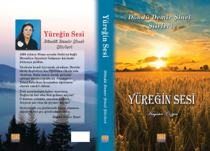 Mesudiyeli Döndü Şiiri : Nerede.. ? 