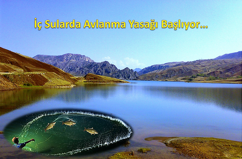 İç Sularda Avlanma Yasağı Başlıyor