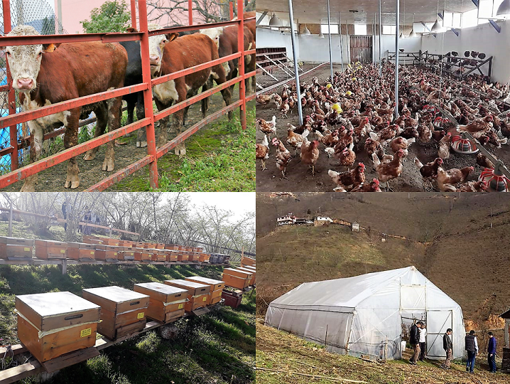 Genç Çiftçi Projesi Başvuruları 7 Nisan’da Başlıyor