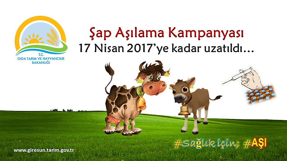 Şap Aşılama Kampanyasının süresi uzatıldı