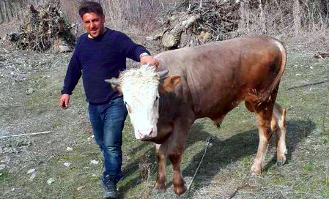 Polis İken Çoban Oldu