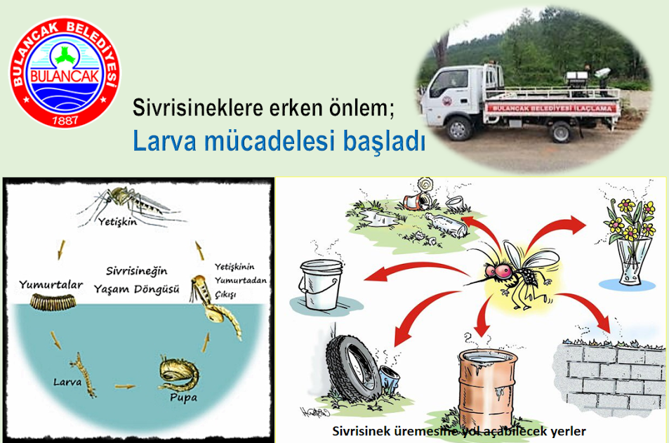 Bulancak'ta Sivrisineklere Erken Önlem