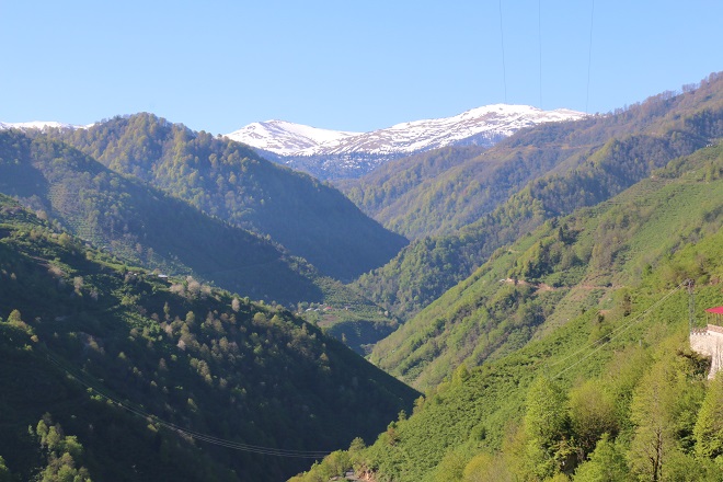 Uzun yaşamın sırrı