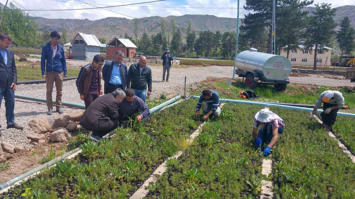  Giresun’da 1 Milyon 250 Bin Fidan Üretilecek…
