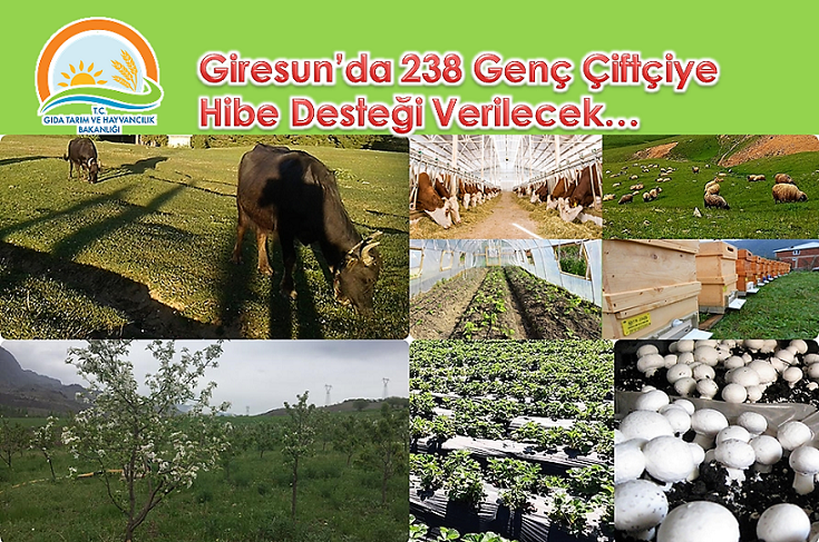 Giresun’da 238 Genç Çiftçiye Hibe Desteği Verilecek