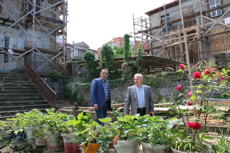 Başkan Gürel, Zeytinlikte Onarım Çalışmalarını İnceledi