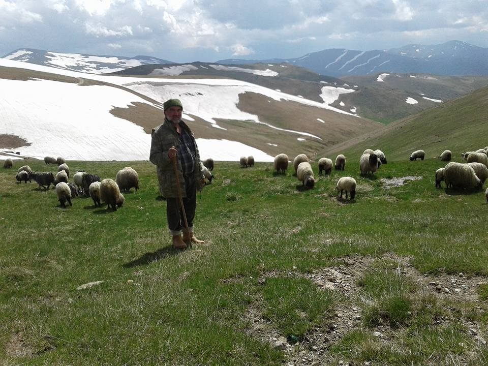 Eynesilli vatandaşların yayla çilesi