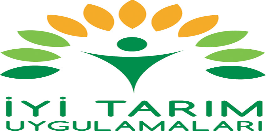 Fındık Üretiminde İyi Tarım Uygulamaları Yaygınlaşıyor