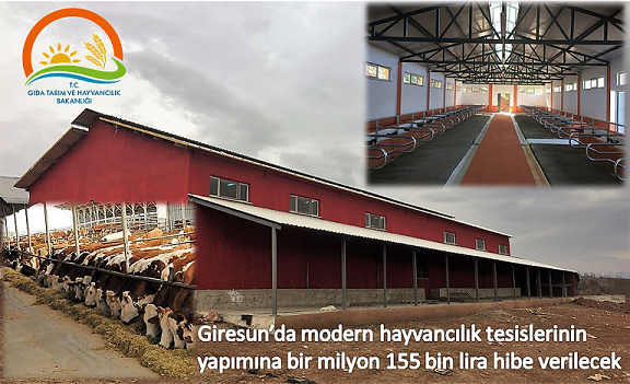 Modern hayvancılık tesislerinin yapımına hibe verilecek