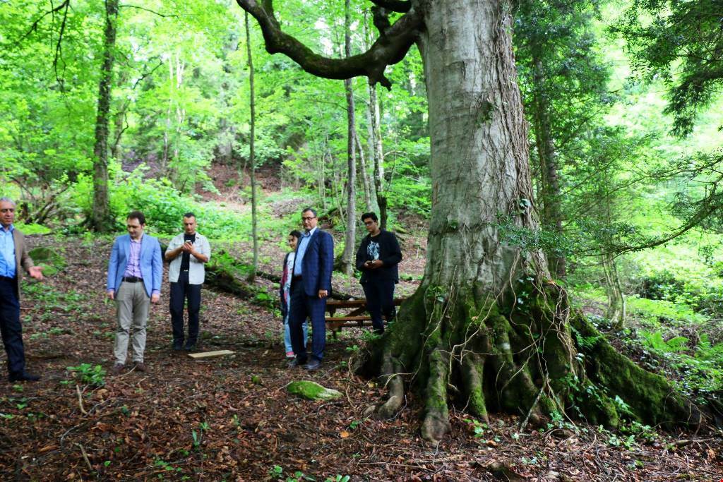 Sayın Valimizden Tabiat Parklarında İnceleme