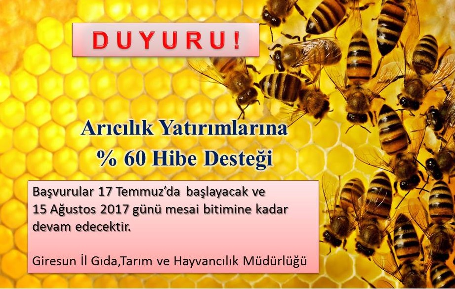 Arıcılık Yatırımlarına %60 Hibe Desteği