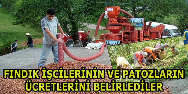 Patoz Ve Fındık İşçilerine Ödenecek Ücretler Belirlendi
