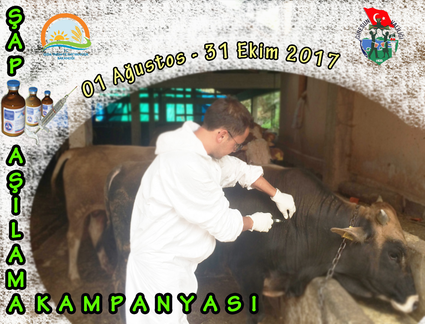 Şap Aşılama Kampanyası başladı