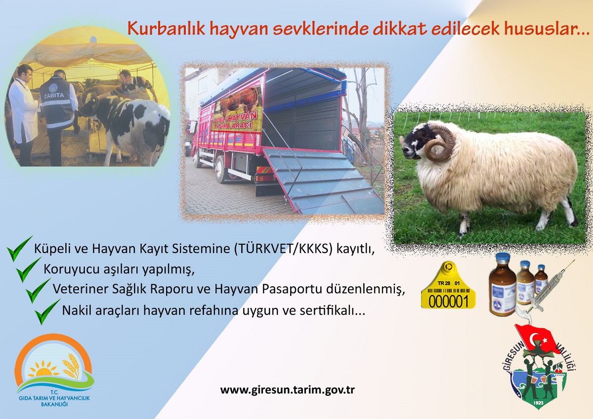Kurbanlık Hayvan Nakillerinde Uyulması Gereken Kurallar