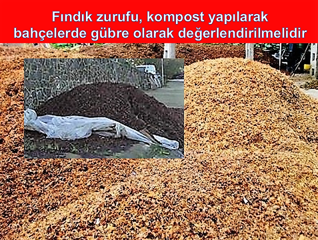 Fındık zurufunun gübre olarak değerlendirilmesi