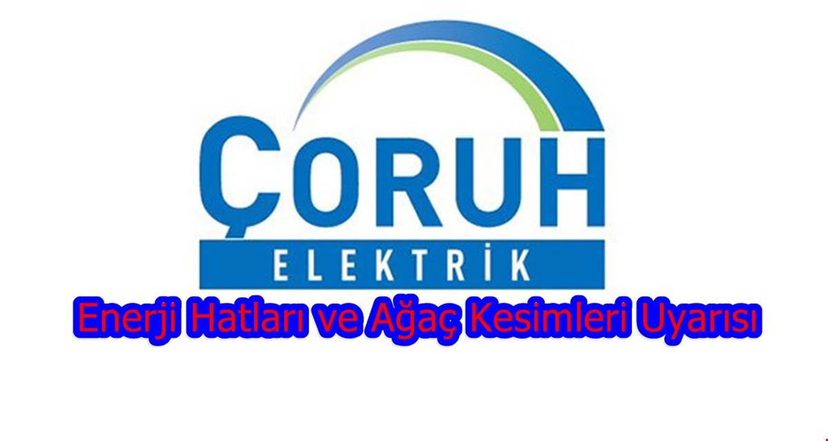 Enerji Hatları ve Ağaç Kesimleri Uyarısı