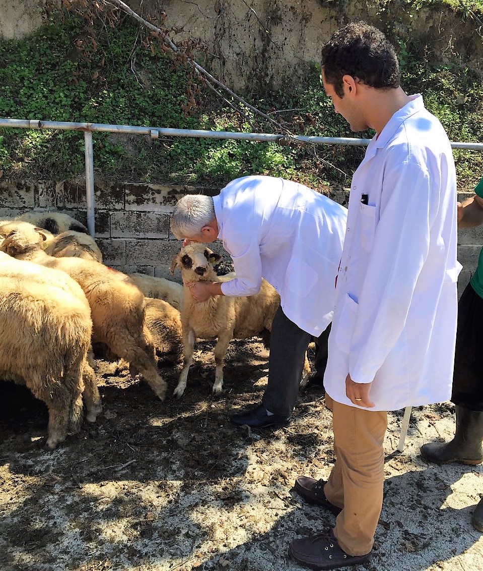 Kurban Satış Yerlerinde Gerekli Tedbirler Alınıyor