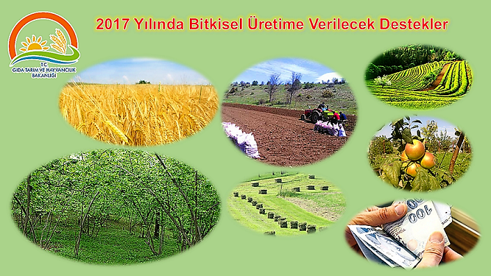 2017 Yılında Bitkisel Üretime Verilecek Destekler