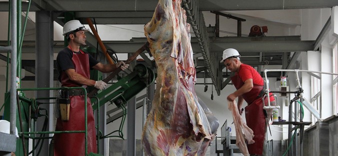 Belediye Mezbahanesi Bayram Süresince Ücretsiz Kesim Yapacak
