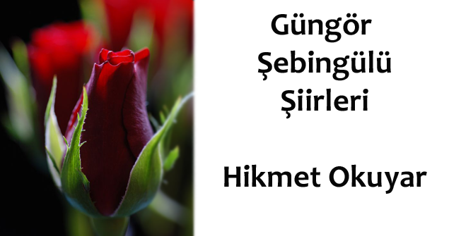 Güngör Şebingülü Şiirleri