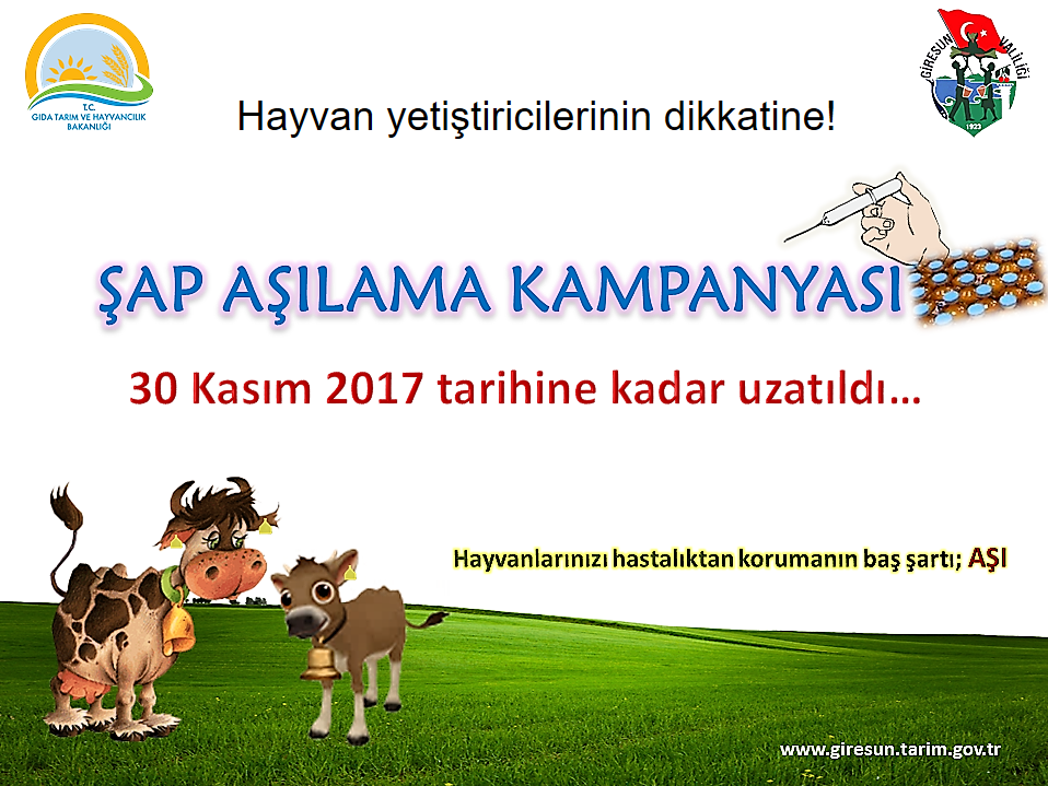 Şap Aşılama Kampanyasının süresi uzatıldı