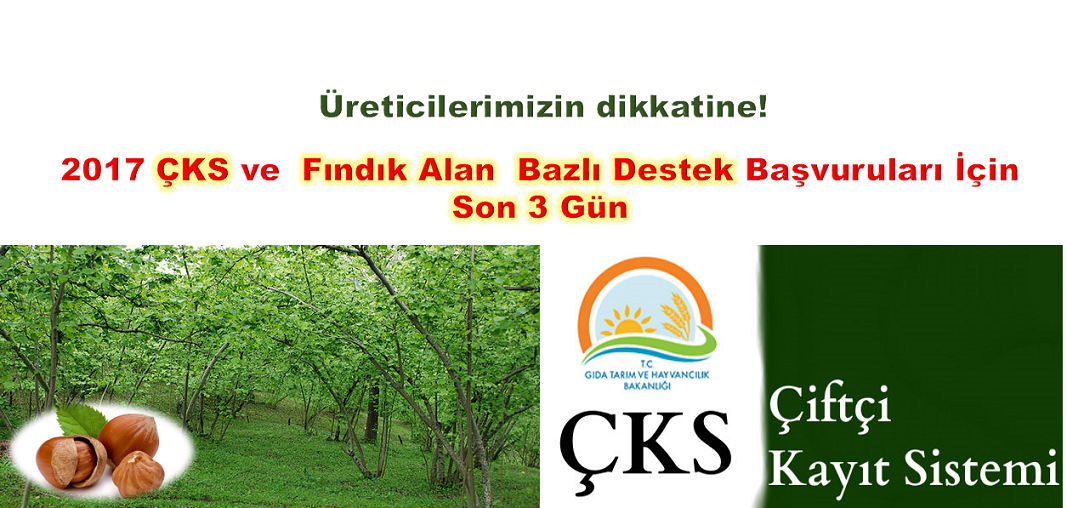 2017 ÇKS ve  Fındık Alan  Bazlı Destek Başvuruları İçin Son 3 Gün