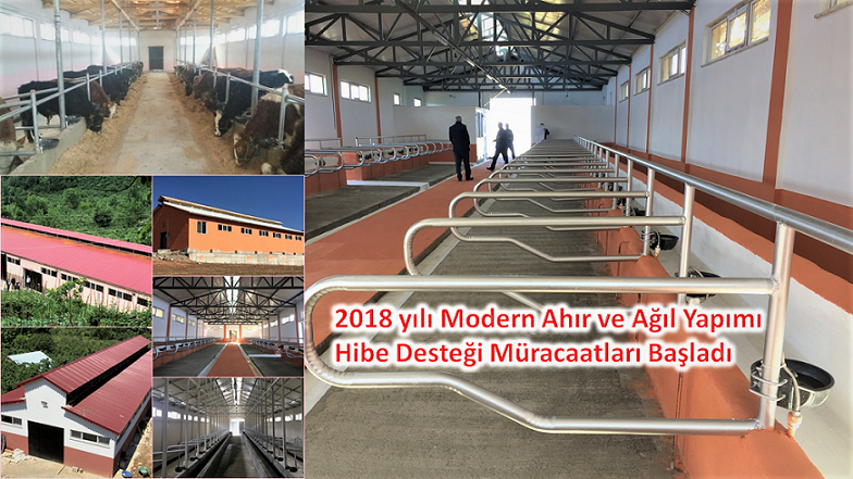 Modern Ahır ve Ağıl Yapımı Hibe Desteği Müracaatları Başladı