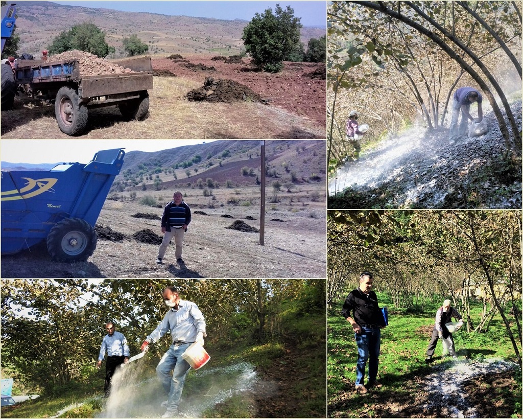 Giresun’da ÇATAK Programı Desteklemeleri